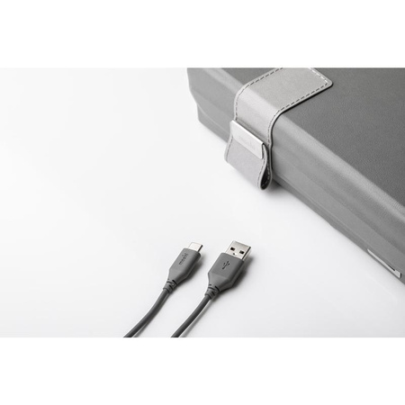 Moshi Deep Purple - Désinfectant portable à LED UV-C (gris)