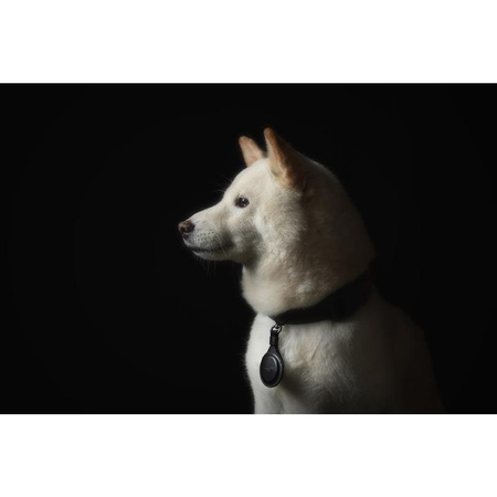 Porte-clés Moshi AirTag - Porte-clés premium pour Apple AirTag (Jet Black)