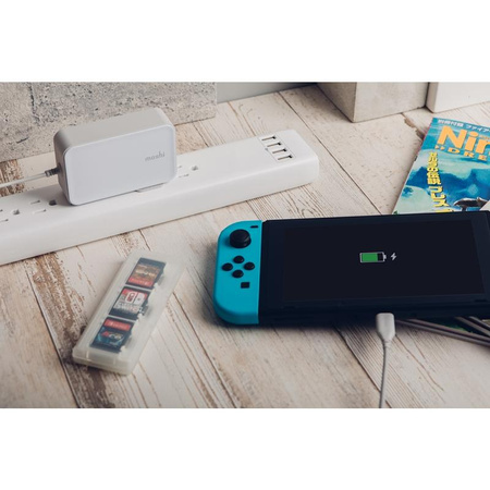 Moshi ProGeo - Chargeur USB-C 65W Power Delivery pour ordinateur portable (EU)