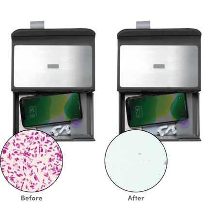 Moshi Deep Purple - Désinfectant portable à LED UV-C (gris)