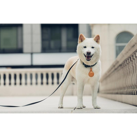 Porte-clés Moshi AirTag - Porte-clés premium pour Apple AirTag (Jet Black)