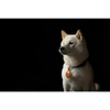 Moshi AirTag kulcstartó - Prémium kulcstartó az Apple AirTag-hez (karamellbarna)