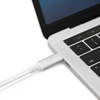 Moshi USB-C auf DisplayPort Kabel - Aluminium Adapter von USB-C auf DisplayPort 5K/60fps (silber)