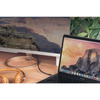 Moshi USB-C Monitor Cable - USB-C Power Delivery 100W cable with 4K/60 Hz (HDR) support (Gray/Gold)